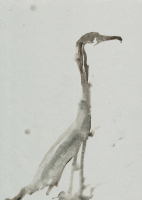 http://www.actionaqua.com/files/gimgs/th-105_FHD 15 21 webversion_v3.jpg